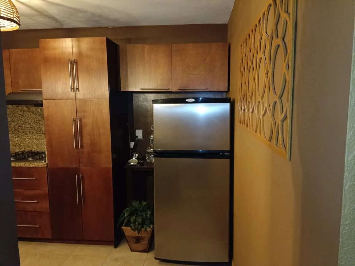 Alacena y espacio para refrigerador