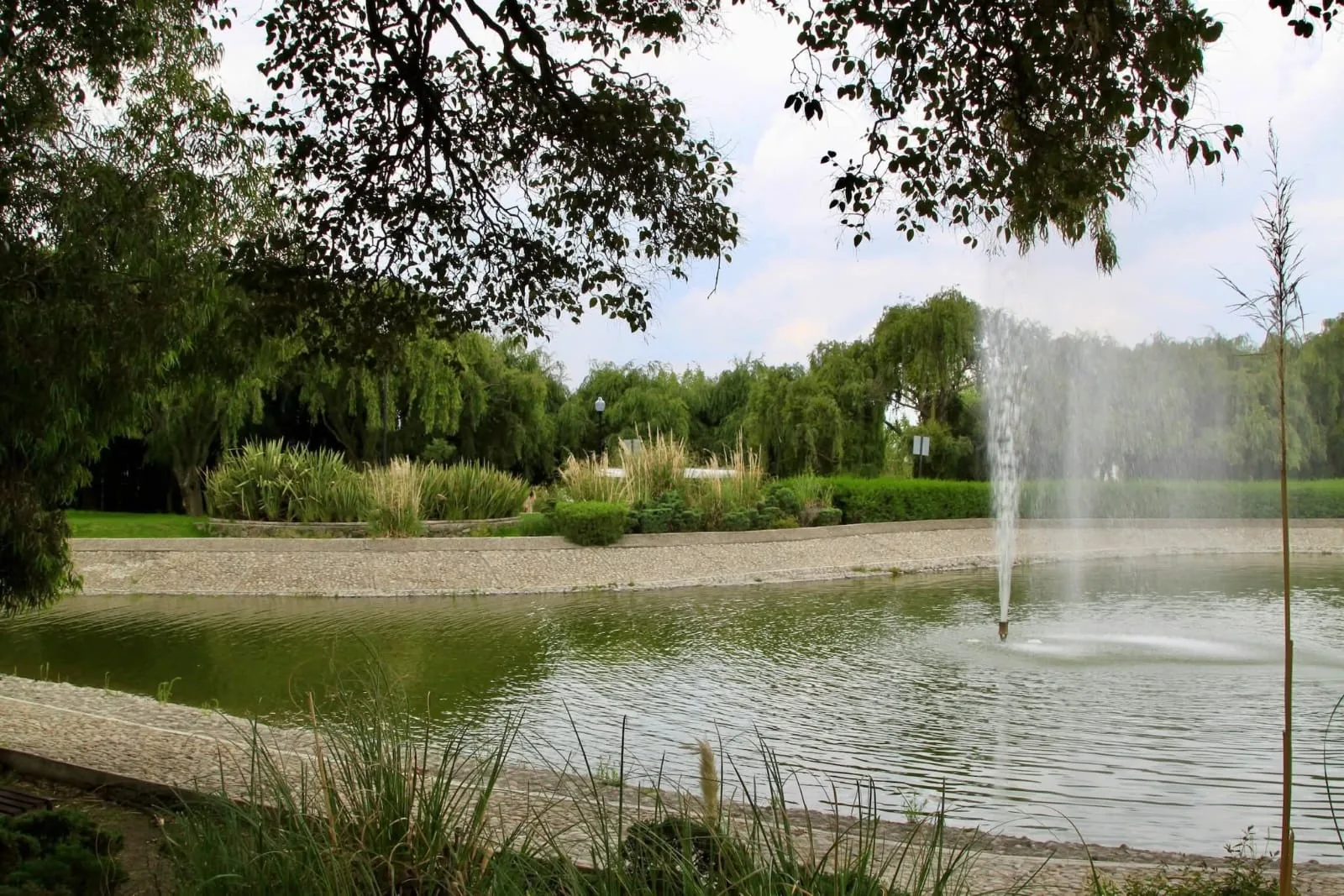 Lago con fuente dentro del fraccionamiento Villas del Campo