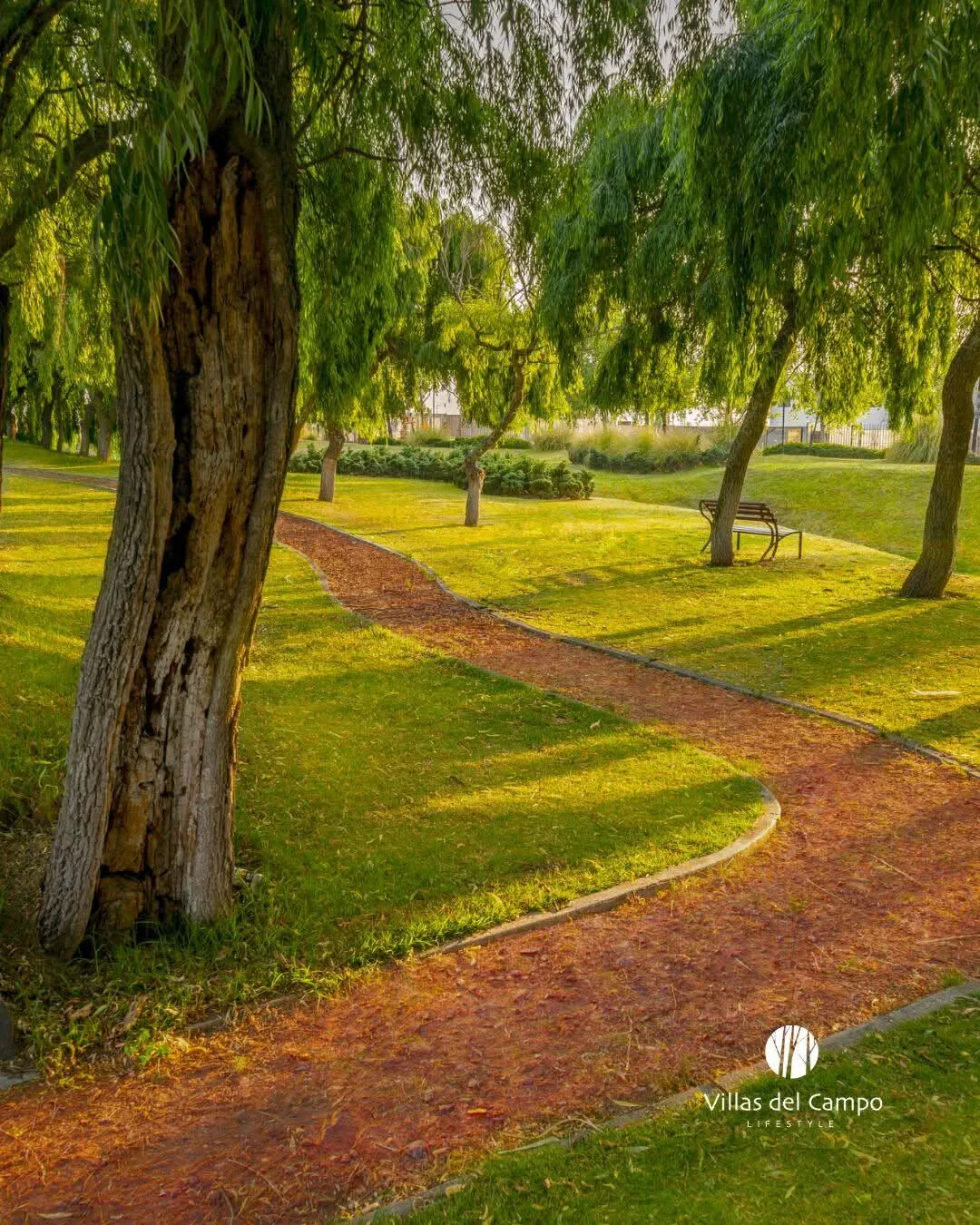 Pista de jogging entre áreas verdes