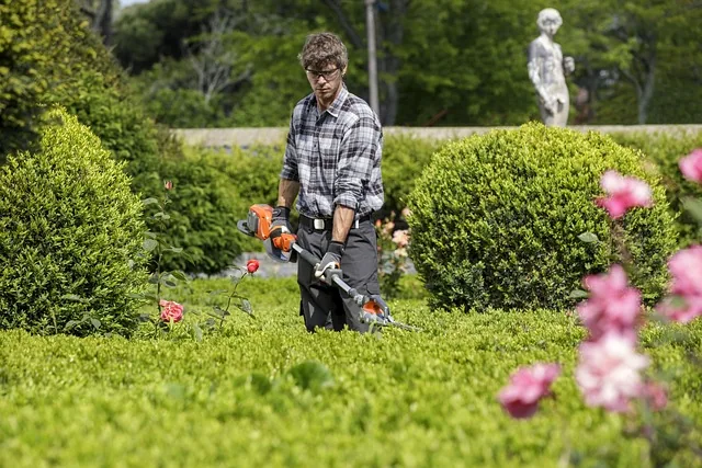 Jardinero profesional dando mantenimiento a un jardín en CDMX