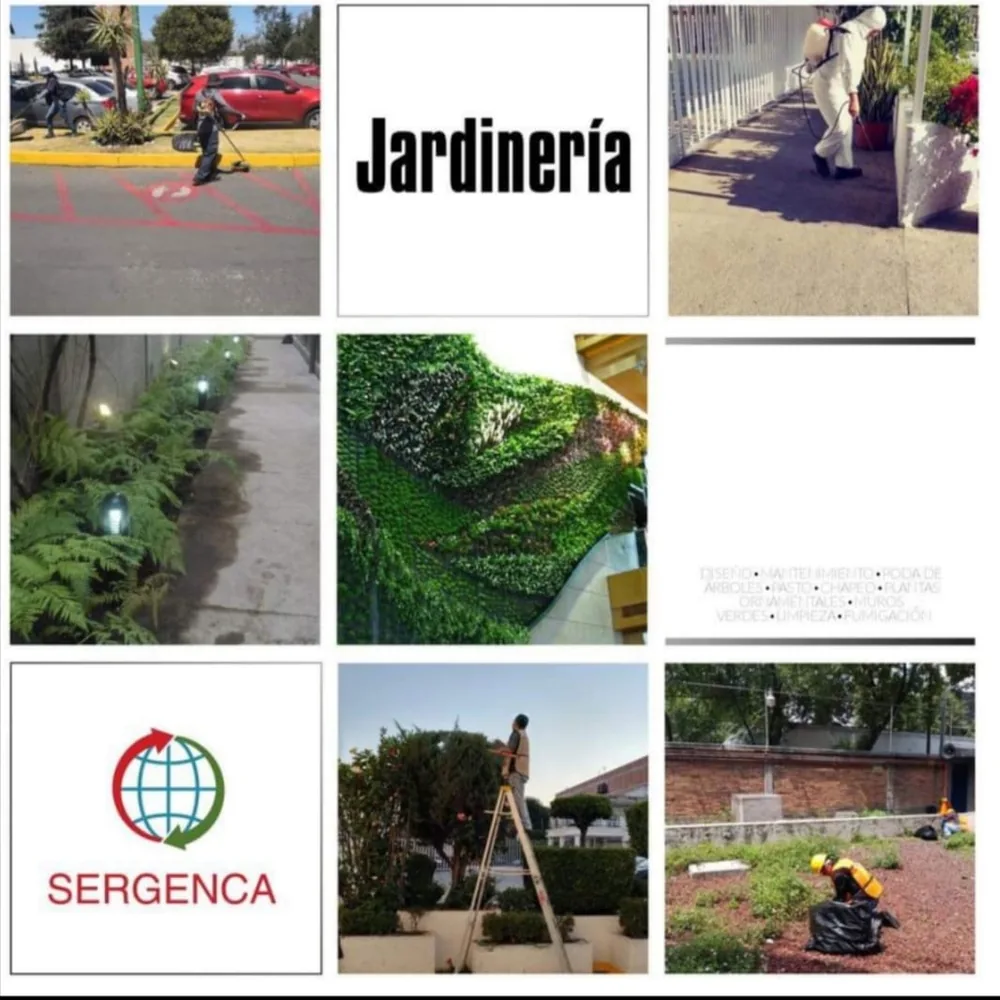 Trabajo de jardinería y mantenimiento de áreas verdes en CDMX