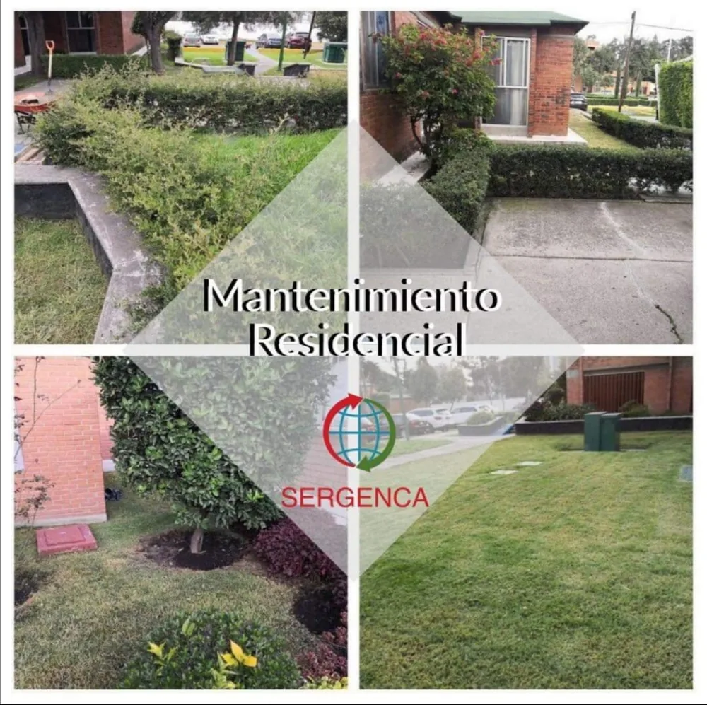 Diseño y poda de jardín residencial en CDMX