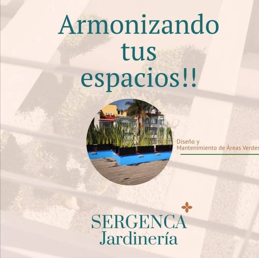 Mantenimiento de jardín y pasto por jardineros profesionales CDMX