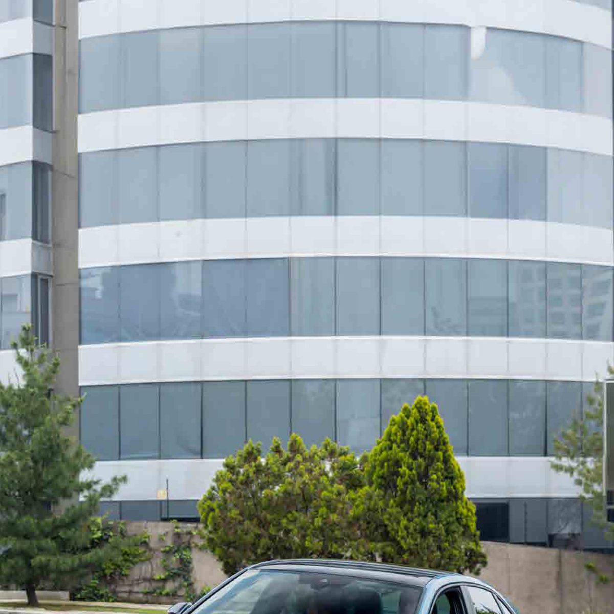 VW Jetta 2026 color