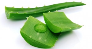 savila jugo para bajar de peso