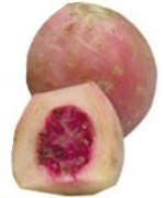 xoconostle para bajar de peso